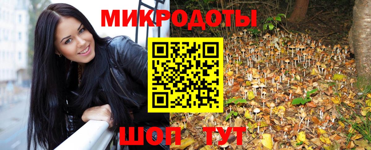 Новокубанск  Псилоцибиновые грибы Cubensis  Вход с VPN 