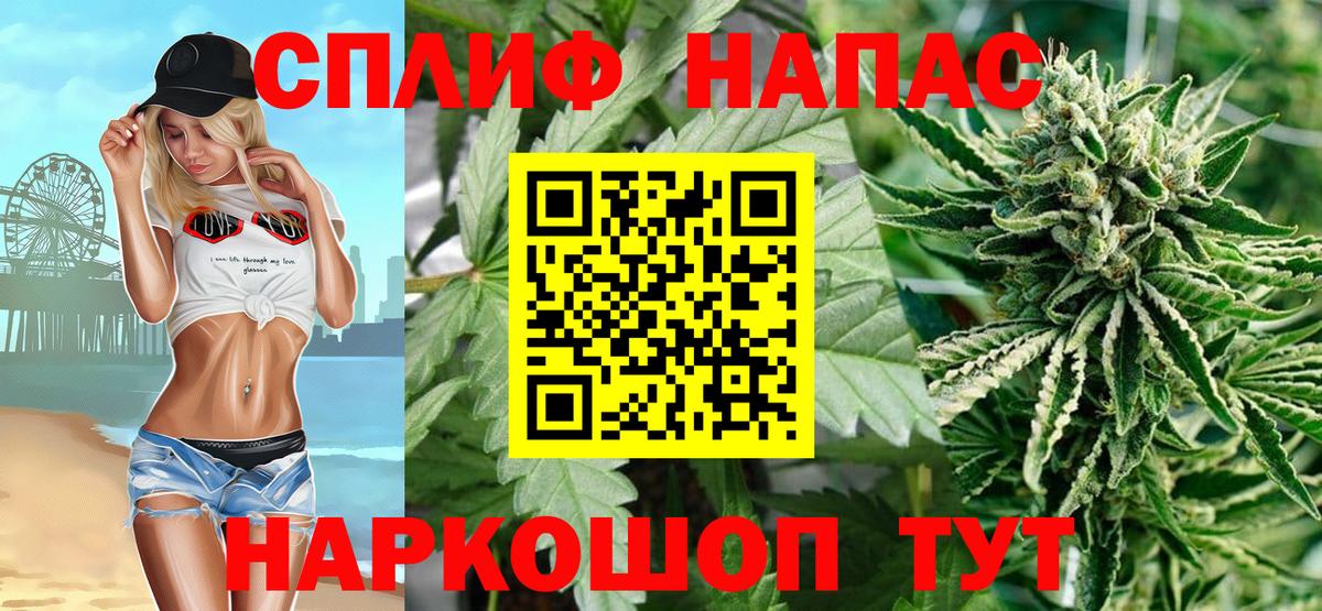 Конопля план Новокубанск